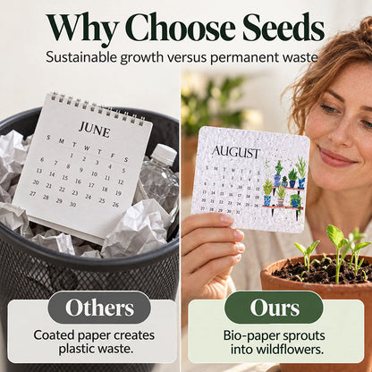 🌱2027 Plantable Desk Calendar — A Little Art. A New Beginning.📅