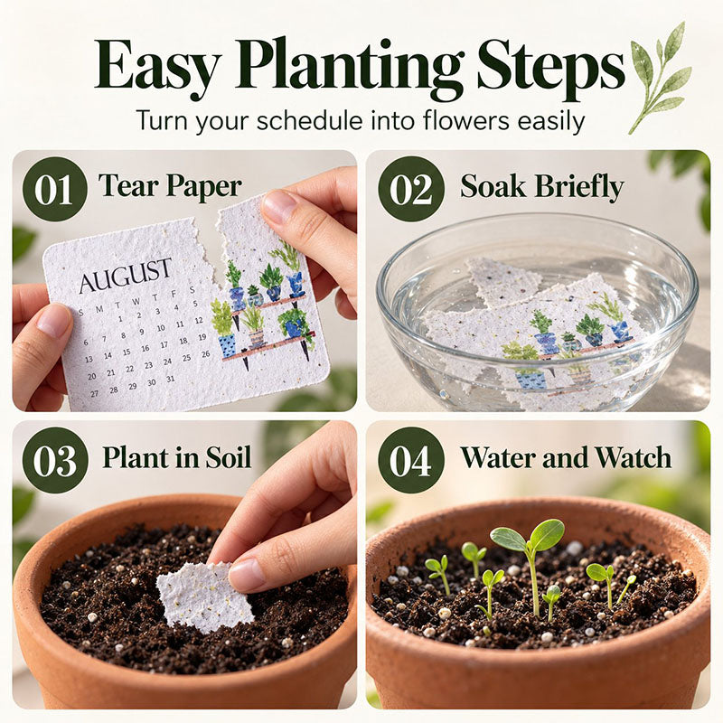 🌱2027 Plantable Desk Calendar — A Little Art. A New Beginning.📅